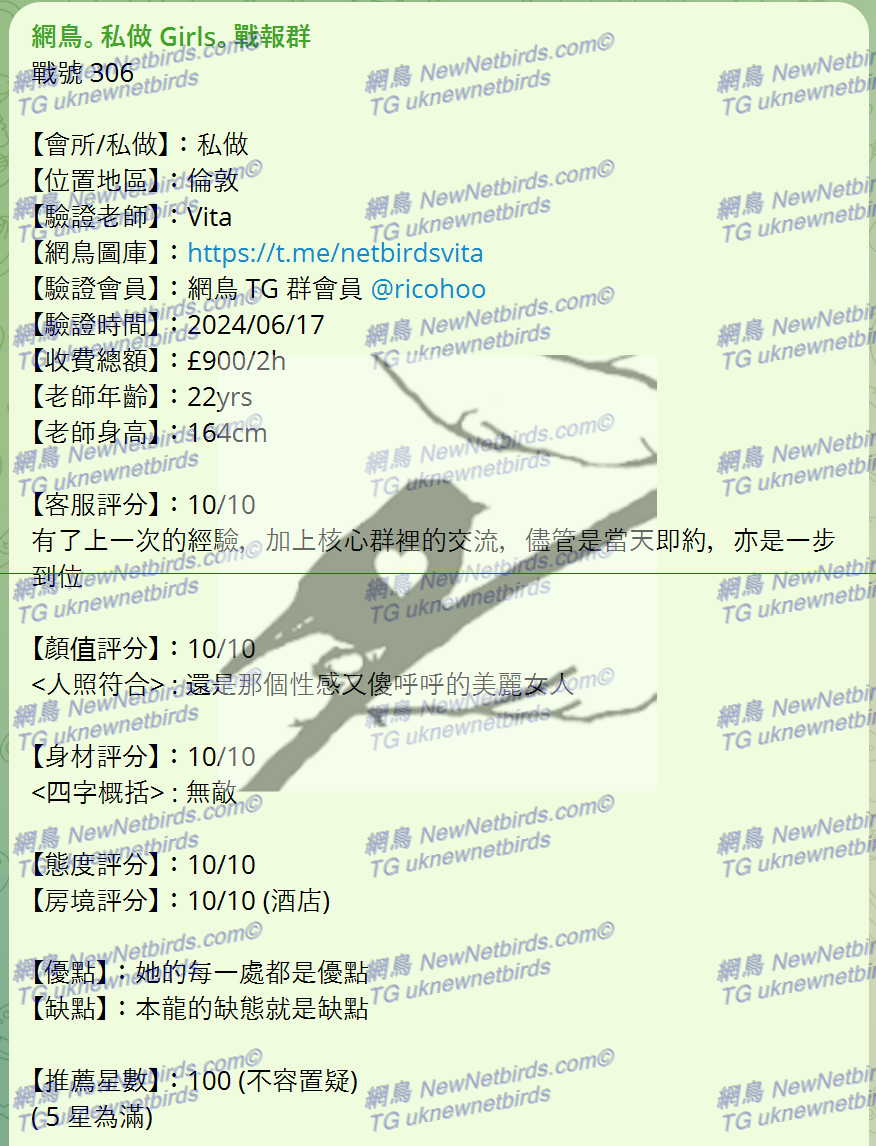 戰號 306 1.png